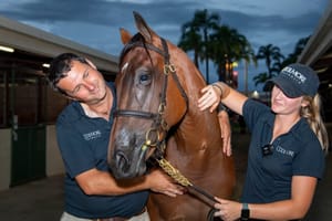 Magic Millions sales entries open as March format change confirmed
