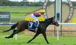 Northam exposure - Mistaken identity as four-year-old wins three-year-old race