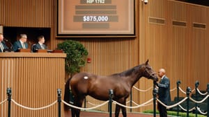 Keeneland windfall already surpasses 2024 halfway through sale