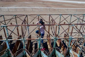 Written In The Stars - Years of dedication and a Strand of fortune