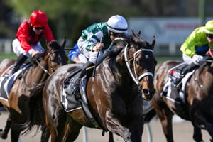 Capital idea - Slot holder Harron takes up Everest challenge with Yulong sprinter