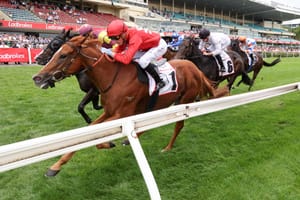 It runs in the family - a horses-for-courses clue to the Moir Stakes