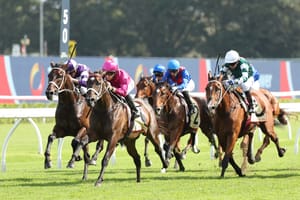 Four more Sydney Group 1s put on Asian Pattern Committee agenda