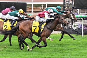 Drop the Pilot: Rising star’s prize money frozen over jailed owner query