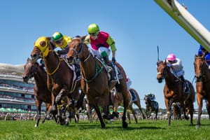 Mega-stables gang tackle Melbourne Cup nominations