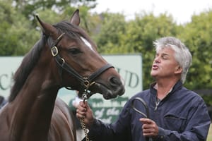 Kiwis Rutherford and Ritchie enjoying the ride with Autumn Boy on way to potential spring Group 1
