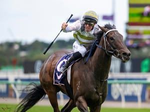 Skybird set to fly flag for Inglis in Everest