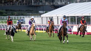 States asked to step up to back pony racing after TIC closure