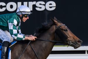 Moment of concern – Star mare’s spring campaign on hold for now after colic scare