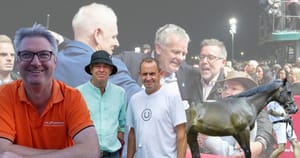 Rowe On Monday - Agent-owner relationship now set in Stone, Tatts focus for Mulcaster,  strong Rosemont connection to HK winner