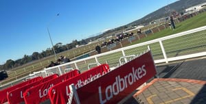 More stewarding troubles in Tasmanian racing