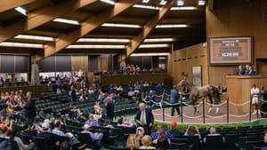 Randwick one day, Kentucky the next - Widdup takes flight to Keeneland with Mulberry’s backing