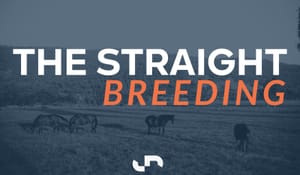 Inglis links with China Horse Owners Alliance to tap into growing market