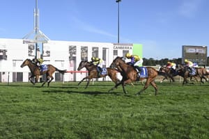 Canberra’s insurance lifeline sets scene for capital resurgence