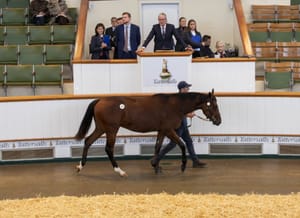 Sweet sixteen for seven-figure lots at Tatts