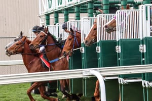 Sticking with Sky - Tasracing extends its broadcast deal