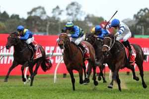 The battle for spring - How Racing NSW successfully targeted Guineas day