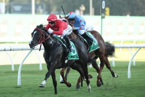 Mazu completes Everest field as 11th-hour entry for Yulong