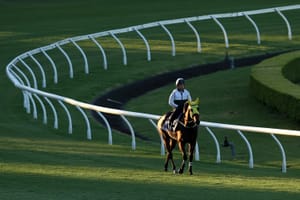 Fake News - How a Ka Ying Rising rumour caught fire