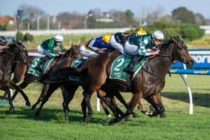 Yulong to have three horses in The Everest, but which three is the question