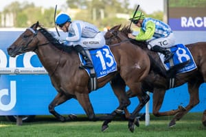 Private decision - Yulong left to find replacement for Everest slot