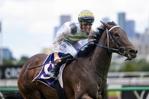 ‘It’s not an alien position to find ourselves in’ - Skybird ruled out of The Everest