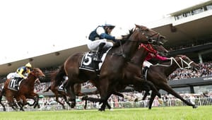 Shooting the breeze - Why faster times aren’t a guide to better buys at two-year-old sales