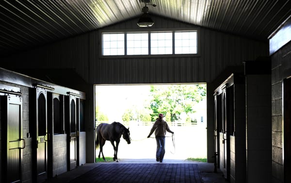 2024 Stallion Fees - Latest