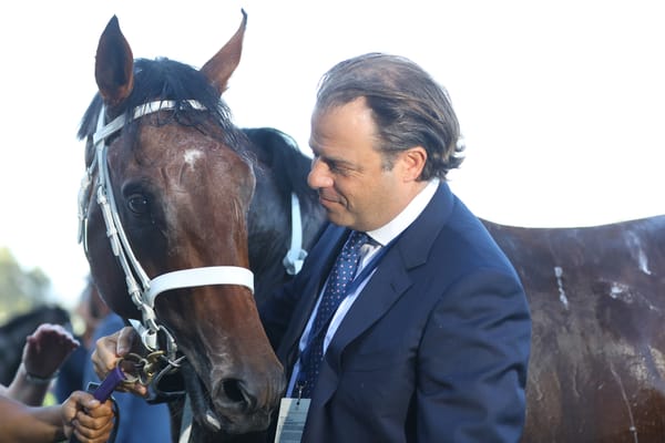 Slipper-winning colt Shinzo given a Golden chance by Coolmore