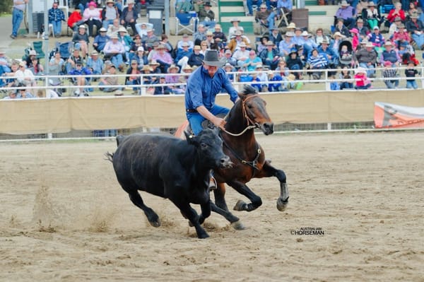 Australia’s next generation of bush horsemen and women are on a different path