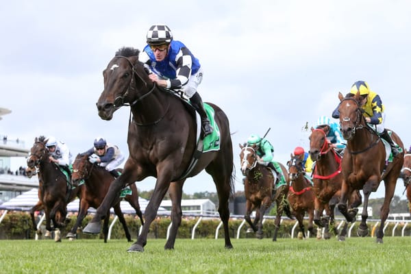 ‘Remarkable’ Melbourne Cup winner Gold Trip seeks new legacy at stud