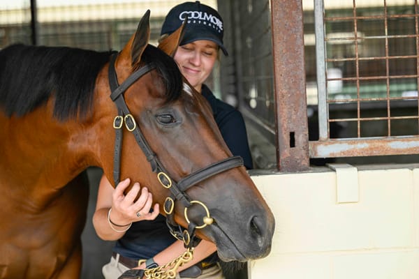 Fillies first – Gold Coast market inverts as investors cool on colts