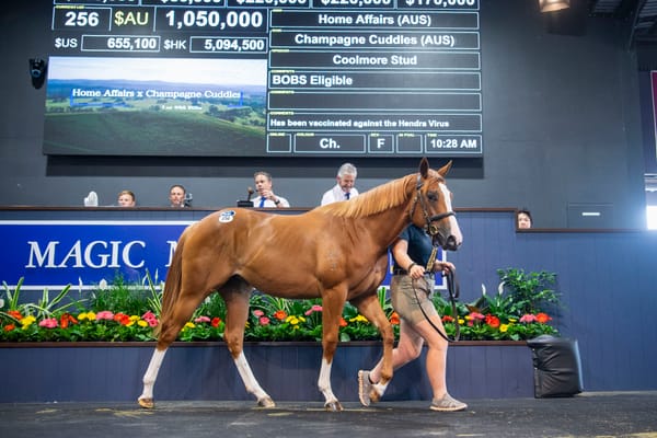 Champagne moment - Home Affairs filly sells to Waterhouse and Bott for $1.05 million
