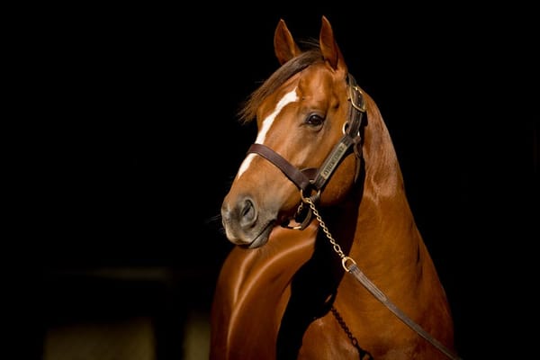 Run The Numbers – Extreme Choice and the fastest to five