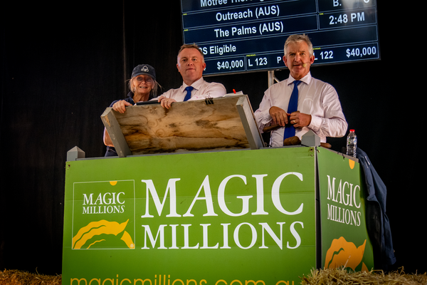 Tassie's Magic opportunities