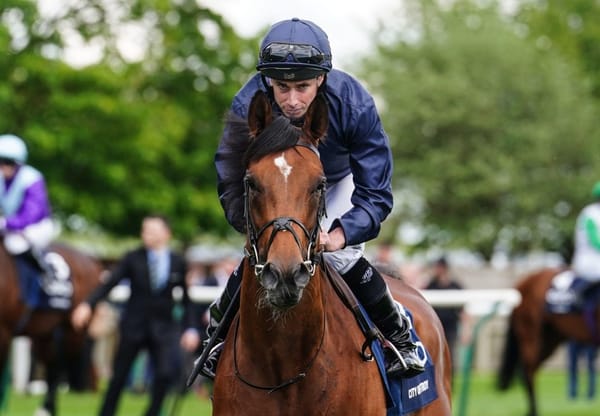 The anointed son - Justify’s City Of Troy to shuttle to Coolmore Australia