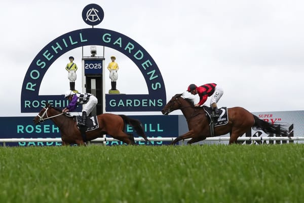 Racing NSW orders ATC to delay Rosehill vote
