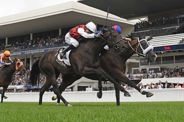 La Crique reprises a Tancred formula from a previous era