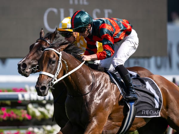 Straight Shorts - Thursday March 20 - Coolmore Classic winner off to paddock, Mr Brightside nommed for HK, Vic expands jumpouts coverage