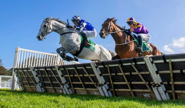 ‘Like polishing a china doll’ - Pateman’s Warrnambool comeback amid jumps racing’s delicate future