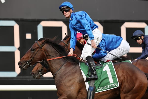 New guard for Darley - Top Godolphin colts join breeding giant's NSW roster