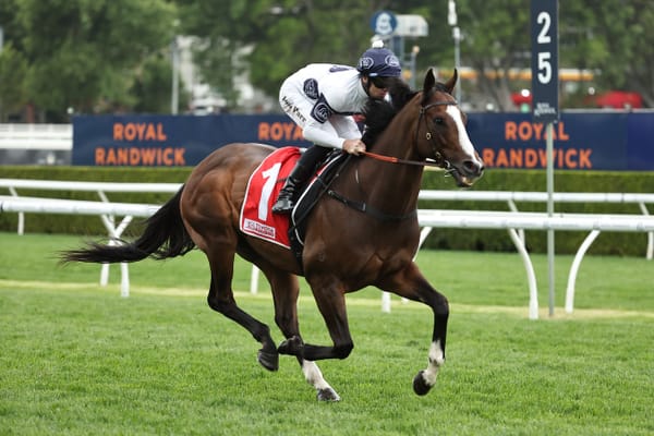 Straight Shorts - Tuesday April 22 - How the Quokka draw unfolded, fields out for Adelaide Group 1s, Windsor Park fees, a blow for Trelawney and US online wagering faces bill scrutiny