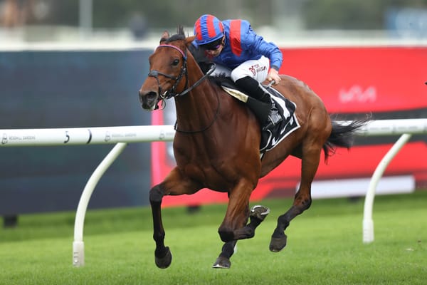 Straight Shorts - Tuesday April 1 - Dubai takes Tancred Honour, Ceolwulf primed for QE, big fine for Colossalbet, Jokers Grin earns Quokka slot