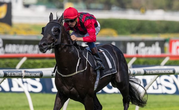 Straight Shorts - Thursday April 24 - Prized return, vale Happy Clapper, Asfoora stretched, Churchill Downs development paused