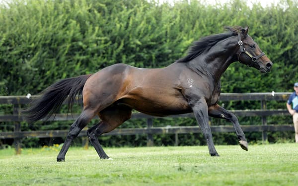 ‘Hard work makes up for a bit of luck’ - Rich Hill in commanding position despite lowering big guns service fees