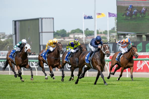 Straight to stud - no overseas mission for Coolmore’s Group 1 winner Switzerland