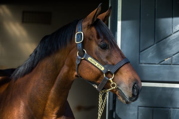 Super reward - Waikato puts full faith in Seth after Group 1 treble