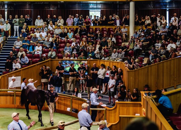 Straight Shorts - Tuesday May 6 - A Karaka shake-up, Tabcorp's live play, Frankie goes to Stake, Tarzino leads Westbury roster