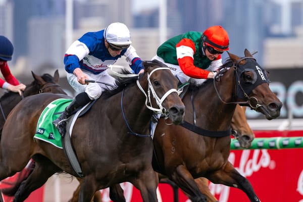 Going global - New Zealand syndicator making most of established and new frontiers