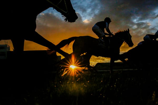 A taxing process - Racing NSW demands proof of financial viability from trainers